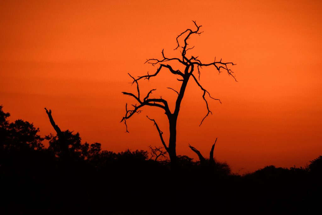 Chladné ráno / Cold morning